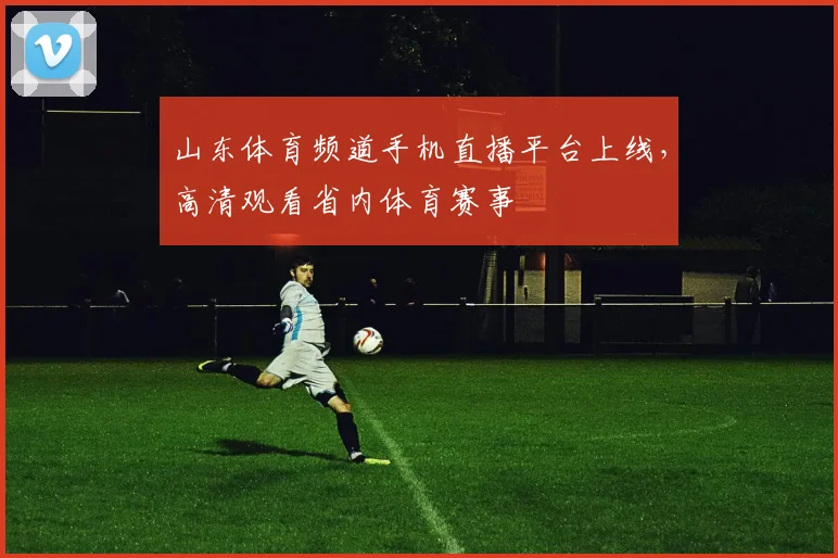 山东体育频道手机直播平台上线,高清观看省内体育赛事